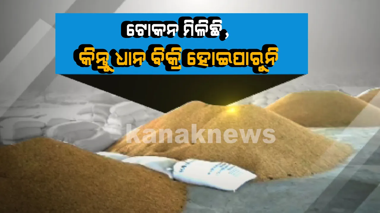  ଧାନ ବିକିଲେ ଝିଅର ବାହାଘର ହେବ । କିନ୍ତୁ ୨୦ଦିନ ହେଲାଣି ଧାନ କିଣୁନାହାନ୍ତି ମଣ୍ଡି କର୍ତ୍ତୃପକ୍ଷ, ସାରା ରାତି ଧାନ ଜଗି ରହୁଛନ୍ତି ଚାଷୀ ।