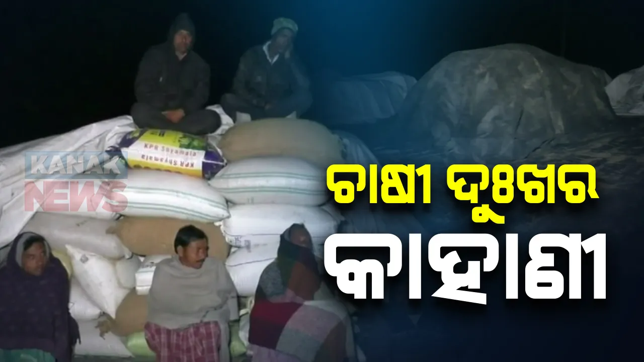  ଧାନ ବିକ୍ରି କରିବା ପାଇଁ ଚାଷୀ ହନ୍ତସନ୍ତ : ଶୀତ କାକରରେ ପଡ଼ି ରହିଛନ୍ତି ଚାଷୀ; ବରଗଡ଼ ସରର୍କଣ୍ଡା ମାର୍କେଟରୁ ରାତିର ସ୍ଥିତି ପରଖିଲେ ଆମ ପ୍ରତିନିଧି