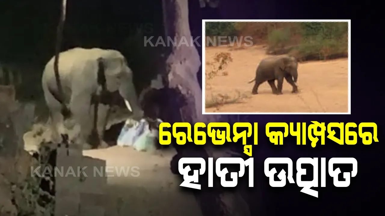  ବିଶ୍ୱବିଦ୍ୟାଳୟ କ୍ୟାମ୍ପସରେ ହାତୀ ଆତଙ୍କ