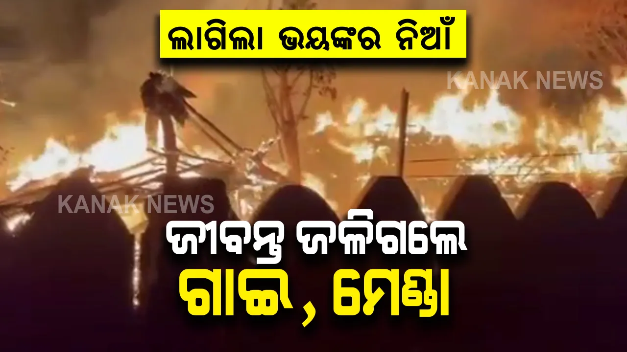  ଅନୁଗୁଳର ବନ୍ତଳା ଥାନା ଖାଲିଗାଁରେ ଭୟଙ୍କର ନିଆଁ : ଲକ୍ଷାଧିକ ଟଙ୍କାର ସମ୍ପତି ନଷ୍ଟ; ଗାଇଗୋରୁ ଜୀବନ୍ତ ଦଗ୍ଧ