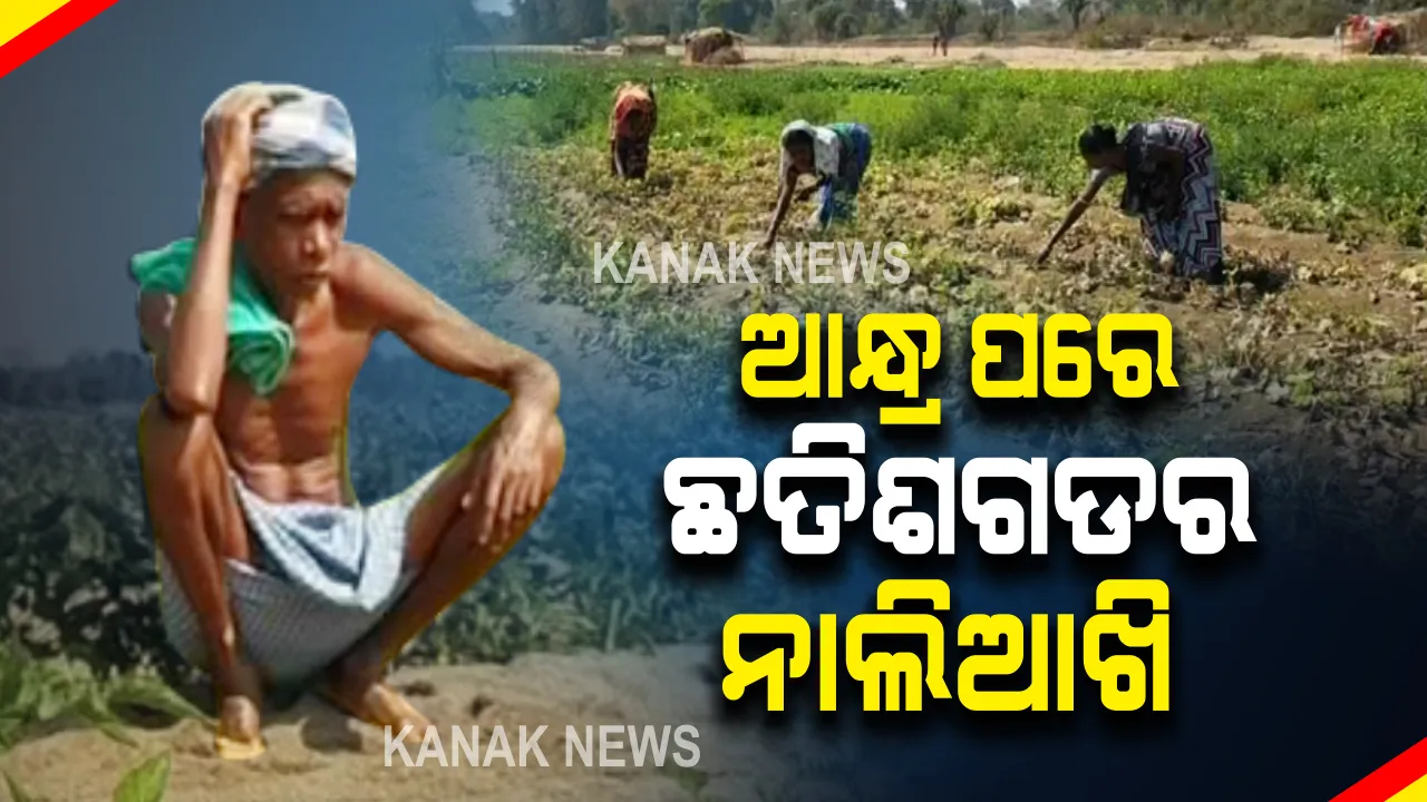  ଆନ୍ଧ୍ର ପରେ ଛତିଶଗଡର ନାଲିଆଖି : ଘୁମରା ପଦର ଡ୍ୟାମରୁ ଅଚାନକ ପାଣି ଛାଡିଦେବାରୁ ଚାଷୀ ପ୍ରବଳ କ୍ଷତିଗ୍ରସ୍ତ, ଏକର ଏକର ଜମିରେ ପନିପରିବା ଚାଷ ନଷ୍ଟ