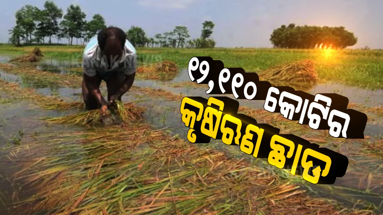  କୃଷକଙ୍କ ହିତରେ ତାମିଲନାଡୁ ସରକାରଙ୍କ ବଡ ନିଷ୍ପତ୍ତି । ଛାଡ କଲେ ୧୨,୧୧୦ କୋଟି ଟଙ୍କାର କୃଷିଋଣ । ୧୬.୧୩ ଲକ୍ଷ ଚାଷୀ ହେବେ ଉପକୃତ