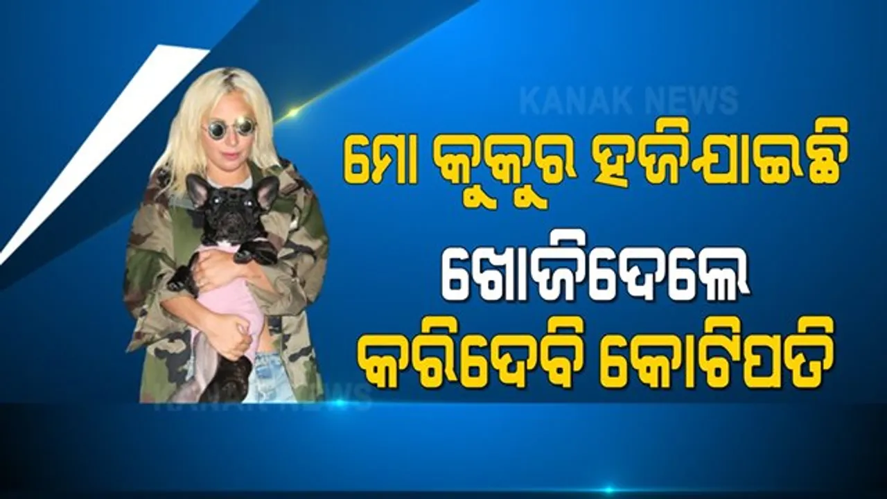  କୁକୁର ପାଇଁ ପୁରଷ୍କାର ରାସି । ଖୋଜିଆଣିଲେ ମିଳିବ ୩ କୋଟି, ଲେଡି ଗାଗାଙ୍କ ଏହି ୱେବସାଇଟରେ ଦିଅନ୍ତୁ ସୂଚନା 