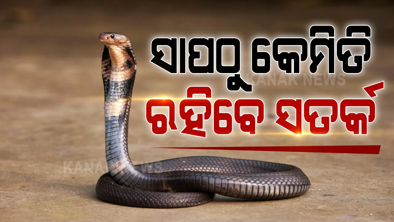  ସାପଠୁ କେମିତି ରହିବେ ସତର୍କ : ଭୁବନେଶ୍ୱର ଭେଟନାରୀ କ୍ୟାମ୍ପସରେ ଛାତ୍ରଛାତ୍ରୀଙ୍କୁ ଦିଆଗଲା ଟ୍ରେନିଂ
