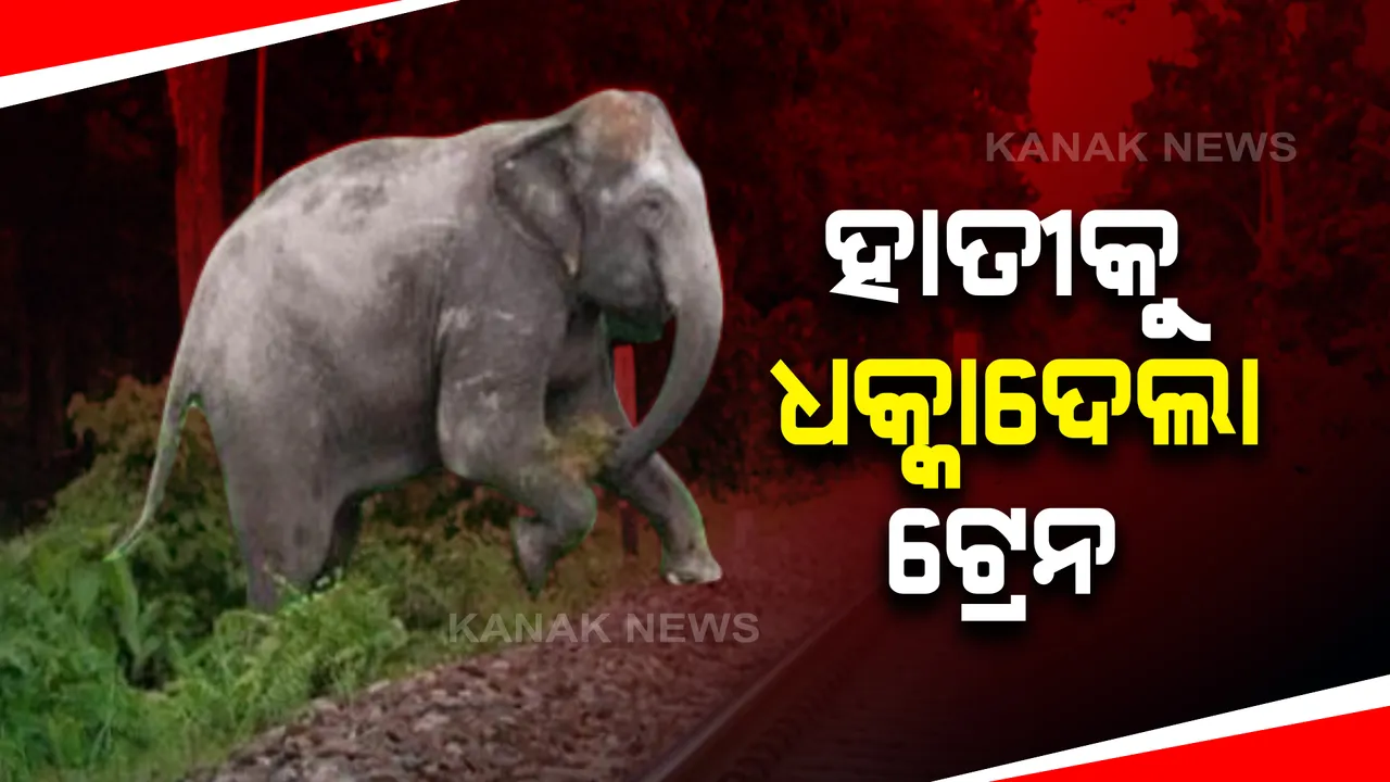  ରାଉରକେଲାରୁ ଆସିଲା ଦୁଃଖଦ ଖବର । ପାର୍ସଲ ଭ୍ୟାନ ଧକ୍କାରେ ଦୁଇ ହାତୀ ମୃତ, ୨ ବଗି ବି ଲାଇନଚ୍ୟୁତ
