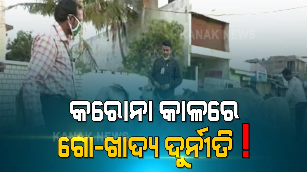  କରୋନା କାଳରେ ହୋଇଛି ଦୁର୍ନୀତି ପରେ ଦୁର୍ନୀତି । ବୁଲା ଗୋରୁ-ଗାଇଙ୍କ ଖାଇବା ପାଇଁ ଆସିଥିବା ଅର୍ଥ ଆତ୍ମସାତ ଅଭିଯୋଗ, ଲକଡାଉନ୍ ବେଳେ ସରକାରୀ ଅନୁଦାନର ହୋଇଛି ବାଟମାରଣା ।