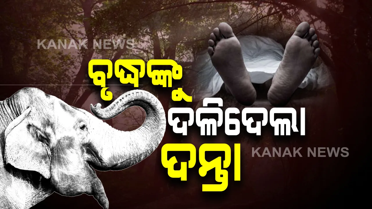  ଆଠଗଡ ଖୁଣ୍ଟୁଣି ରେଞ୍ଜ ରାଉଳସାହିରେ ଅଭାବନୀୟ ଘଟଣା : ଘର ବାରଣ୍ଡାରେ ବସିଥିବା ବେଳେ ବୃଦ୍ଧଙ୍କୁ ଦଳିଦେଲା ଦନ୍ତା