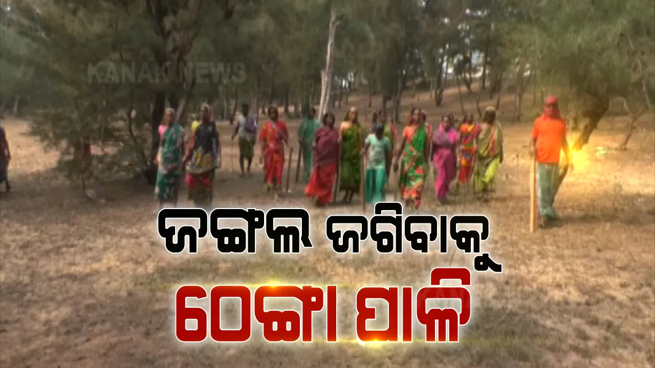  ଜଙ୍ଗଲ ଜଗିବାକୁ ମହିଳାଙ୍କ ଠେଙ୍ଗା ପାଳି । ପରିବେଶ ସୁରକ୍ଷା ପାଇଁ ୧୧୬ ମତ୍ସ୍ୟଜୀବୀ ମହିଳାଙ୍କ ଉତ୍ସର୍ଗୀକୃତ ସେବା, ଗାଁ ଗୌରବ ‘ଗଙ୍ଗାଦେବୀ ବନ ସୁରକ୍ଷା ସମିତି’ ।