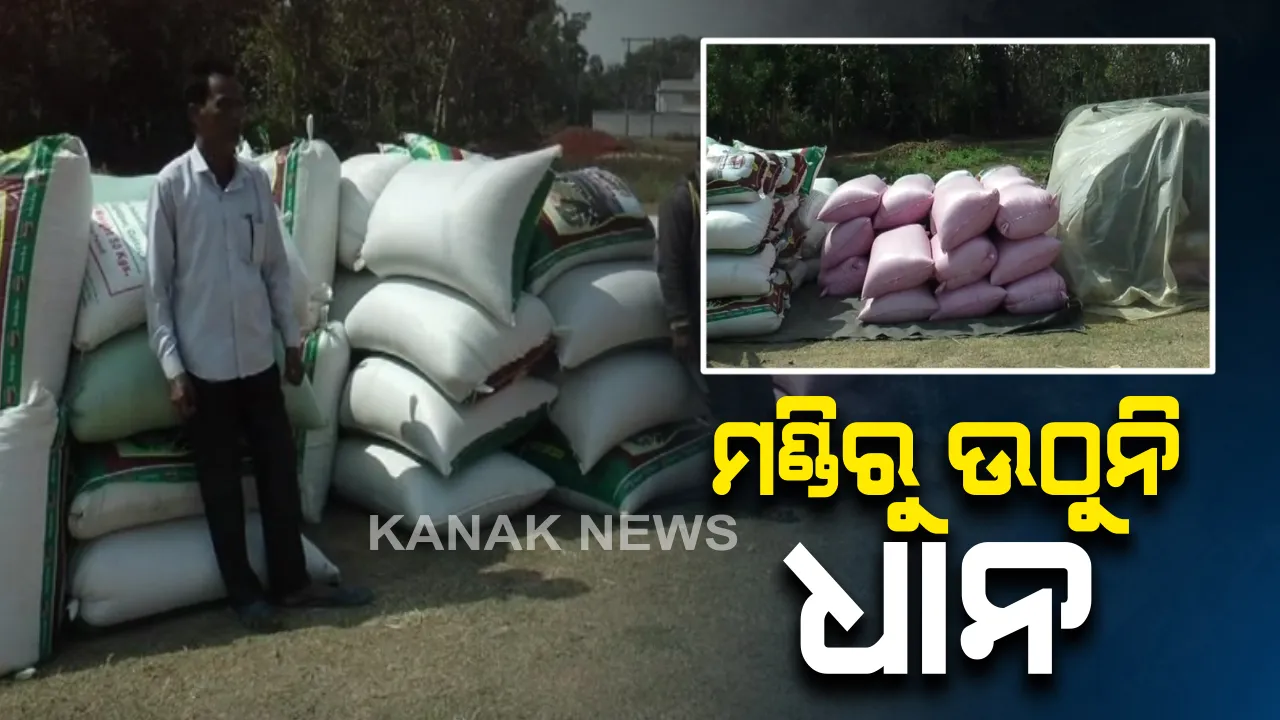  ମଣ୍ଡିରୁ ଉଠିପାରୁନି ଧାନ : କୋଣାର୍କ ଗୋପ ବ୍ଲକ ଅଂଚଳ ଧାନ ମଣ୍ଡିରେ ଅବ୍ୟବସ୍ଥା; ୧୦ ଦିନ ହେଲା ପଡରହିଛି ବସ୍ତା ବସ୍ତା ଧାନ