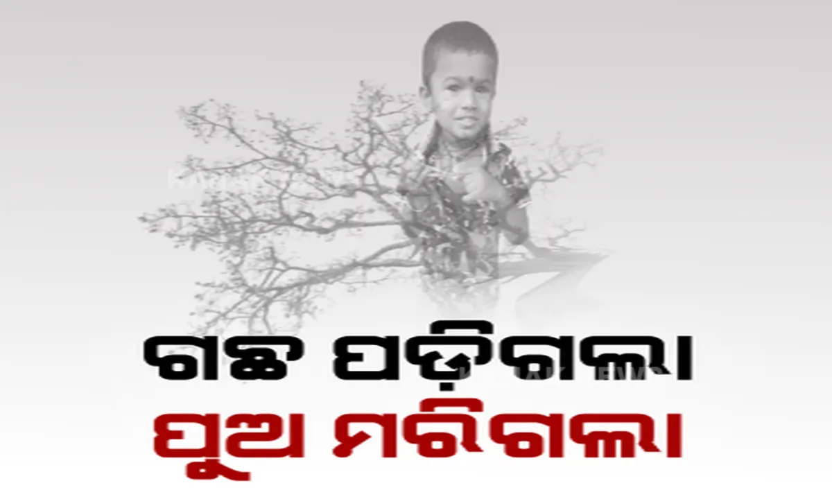  ଯାଜପୁର ଜିଲ୍ଲା ଯୋଡିକୁଅ ଛକରେ ଚଳନ୍ତା ବାଇକ୍ ଉପରେ ପଡିଲା ଗଛ । ଜଣେ ୫ ବର୍ଷର ନାବାଳକର ମୃତ୍ୟୁ ।