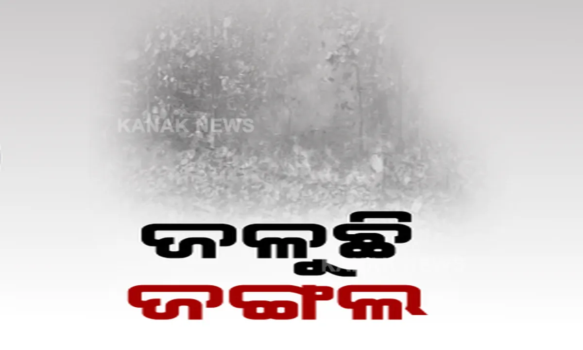  ସାତକୋଶିଆ ଇକୋ-ରିଟ୍ରିଟରେ ଲାଗିଲା ନିଆଁ, ଅଳ୍ପକେ ବର୍ତ୍ତିଲେ ପର୍ଯ୍ୟଟକ । କଟେଜରେ ଥିବା ପର୍ଯ୍ୟଟକ କହିଲେ, ଭୋର ୫ ଟାରେ ବିସ୍ଫୋରଣ ଶବ୍ଦ ହୋଇ ଲାଗିଗଲା ନିଆଁ ।