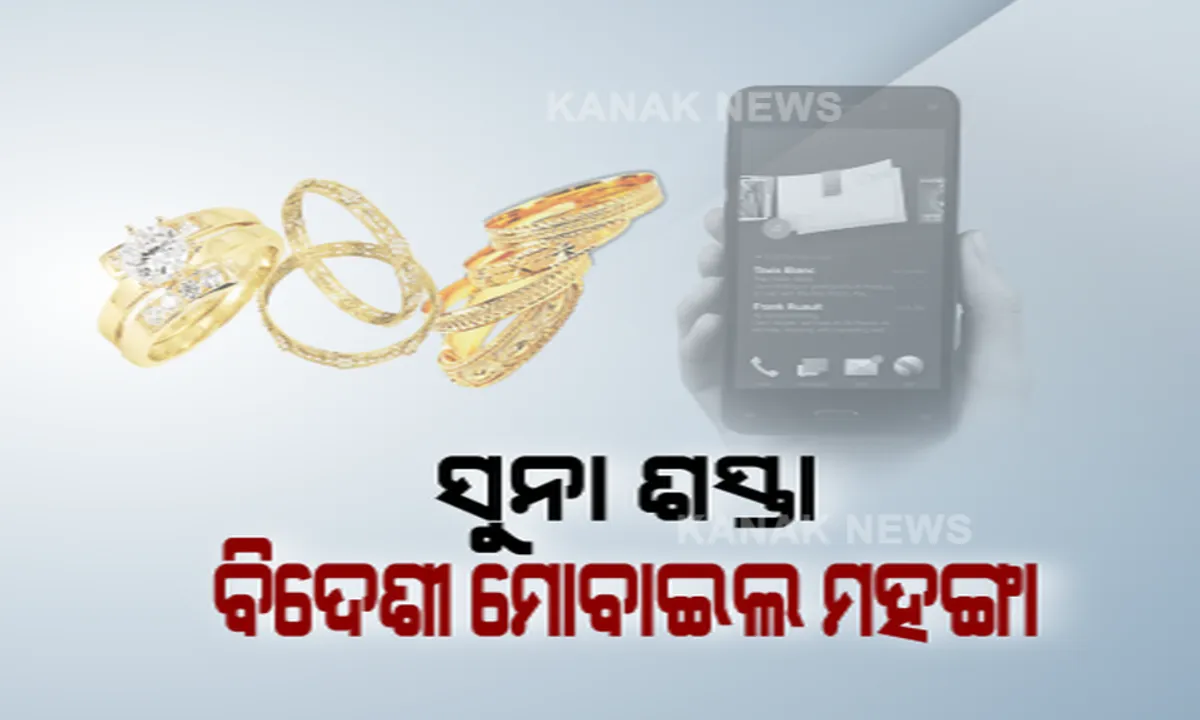  ବଜେଟ୍ ଉପସ୍ଥାପନ କଲେ ଅର୍ଥମନ୍ତ୍ରୀ : ଜାଣନ୍ତୁ, କଣ ଶସ୍ତା ଆଉ କଣ ମହଙ୍ଗା