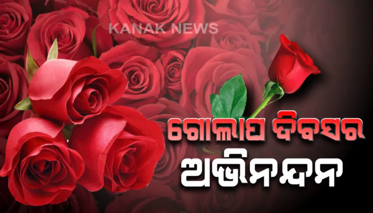  ଆଜି ହେଉଛି ଗୋଲାପ ଦିବସ ! ହଳଦିଆ, କମଳା ,ଧଳା ରଙ୍ଗର ଗୋଲାପ ଭିତରେ ଆକର୍ଷଣର କେନ୍ଦ୍ରବିନ୍ଦୁ ପାଲଟିବ ଲାଲ୍ ଗୋଲାପ