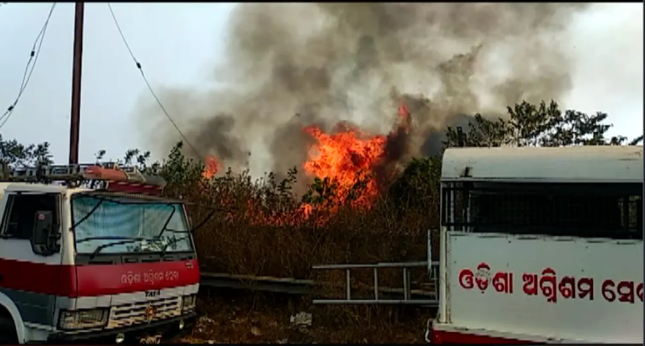  ନନ୍ଦନକାନନ ନିକଟସ୍ଥ ବଟାନିକାଲ ଗାର୍ଡେନ ପରିସରରେ ଭୟାବହ ଅଗ୍ନିକାଣ୍ଡ । ୨ ଏକର ଜମିରେ ନିଆଁ ଲାଗିଥିବା ସୂଚନା।