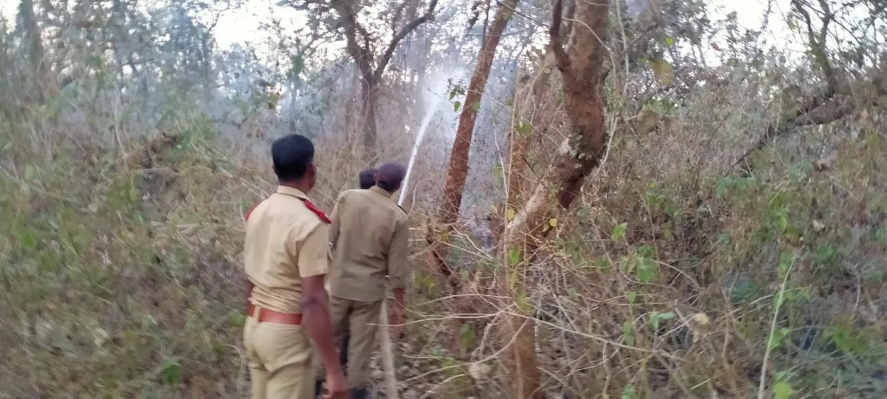  କେମିତି ଅଛି ଜଙ୍ଗଲ ସ୍ଥିତି? ଜାଣନ୍ତୁ ଜଙ୍ଗଲ ନିଆଁକୁ ନେଇ କଣ କହିଲେ ଟାସ୍କ ଫୋର୍ସ ମୁଖ୍ୟ