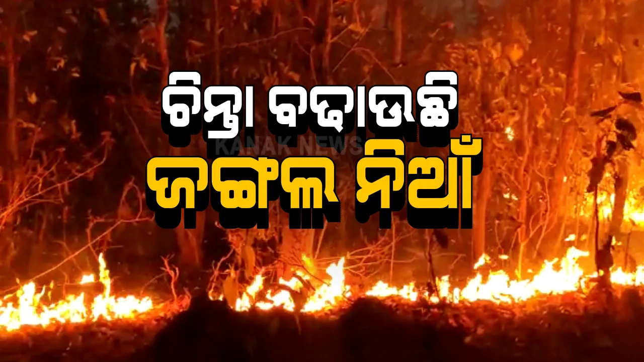  ଶିମିଳିପାଳ ନିଆଁକୁ ନେଇ କଥା ଗୋଟିଏ, କାମ ଆଉ ଗୋଟିଏ । ମନ୍ତ୍ରୀ କହିଲେ, ଅଗ୍ନିଋତୁରେ ନିଆଁ ଲାଗେ । ଅନ୍ୟପଟେ ନିଆଁ ଲିଭାଇବା ପାଇଁ ଗଠନ ହେଲା ଟାସ୍କଫୋର୍ସ ।