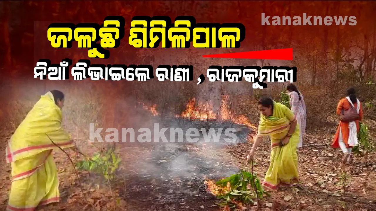  ଜଳୁଛି ଶିମିଳିପାଳ : ଲିଭିବାର ନାଁ ଧରୁନି ; ନିଆଁକୁ ଆୟତ୍ତ କରିବାକୁ ଚେଷ୍ଟା କଲେ ମୟୁରଭଞ୍ଜ ମହାରାଣୀ ଓ ରାଜକୁମାରୀ