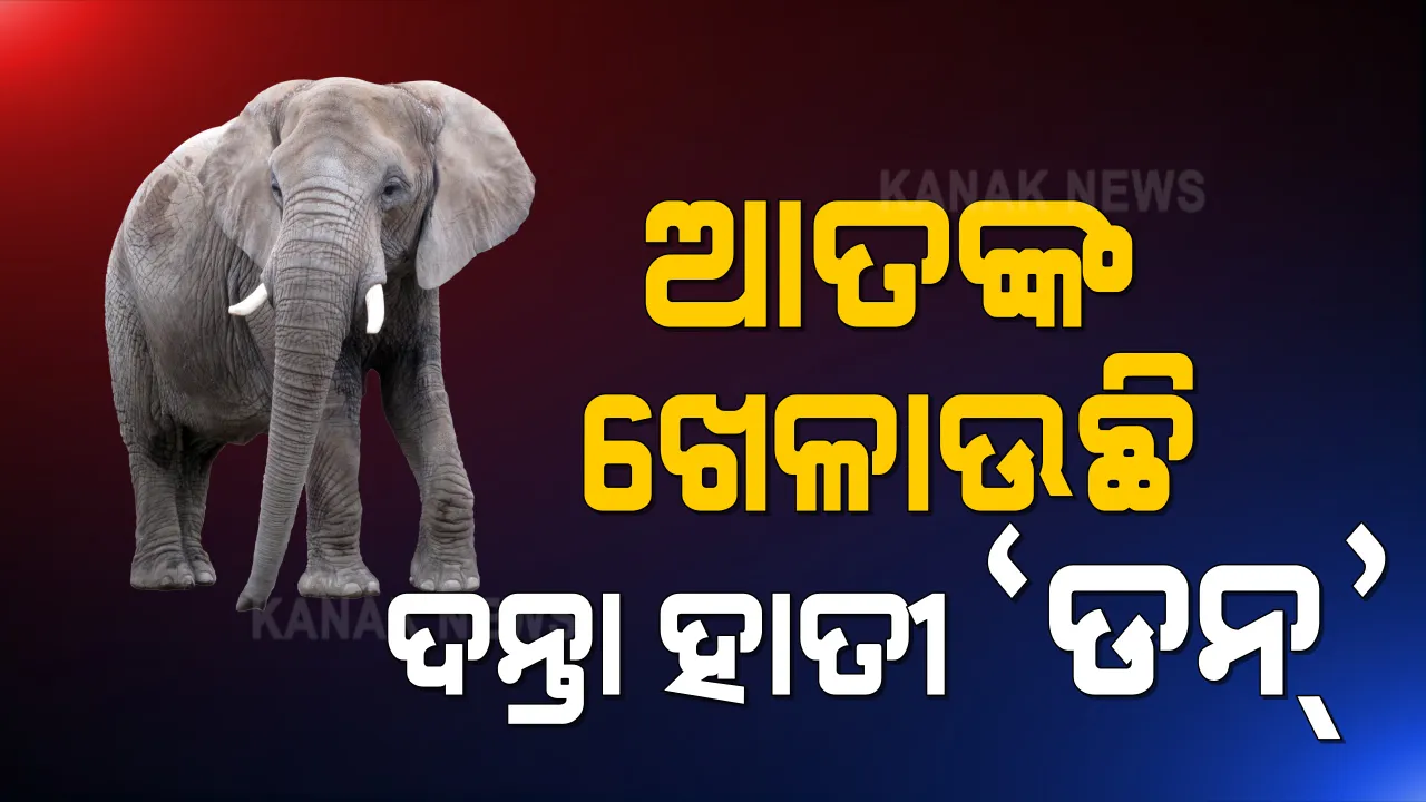  ସମ୍ବଲପୁର ସଦର ରେଞ୍ଜ ଝାଙ୍କରପାଲିରେ ଦନ୍ତା ହାତୀର ଉତ୍ପାତ : ହାତୀ ପାଇଁ ଚୁଲି ନିଆଁରେ ଜଳିଗଲା ଘର
