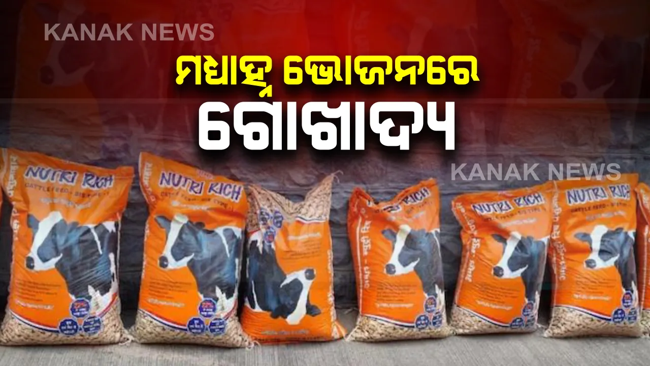  ମହାରାଷ୍ଟ୍ର ଯୋଗାଣ ବିଭାଗର ବିଚିତ୍ର ଚିତ୍ର । ପିଲାଙ୍କ ମଧ୍ୟାହ୍ନ ଭୋଜନ ପାଇଁ ସ୍କୁଲରେ ପହଂଚିଲା ଗୋଖାଦ୍ୟ । ଘଟଣାର ତଦନ୍ତ ଜାରି