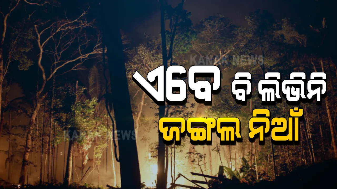  ରାଜ୍ୟର ବିଭିନ୍ନ ଅଂଚଳରେ ଏବେ ବିି ଲିଭିନି ଜଙ୍ଗଲ ନିଆଁ । ବନ ବିଭାଗ ପକ୍ଷରୁ ନିଆଁଲିଭା କାମ ଜାରି । ସଚେତନତା ପାଇଁ ଗାଁ ଗାଁରେ ଲାଗିଲା ପୋଷ୍ଟର ।