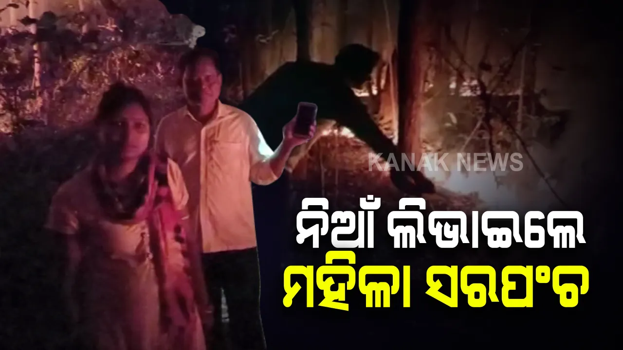  ଜଙ୍ଗଲର ନିଆଁ ଲିଭାଇଲେ ମହିଳା ସରପଞ୍ଚ । ସ୍ଥାନୀୟ ଲୋକଙ୍କୁ ଧରି ବିଳମ୍ବିତ ରାତି ଯାଏଁ ଲିଭାଇଲେ ନିଆଁ