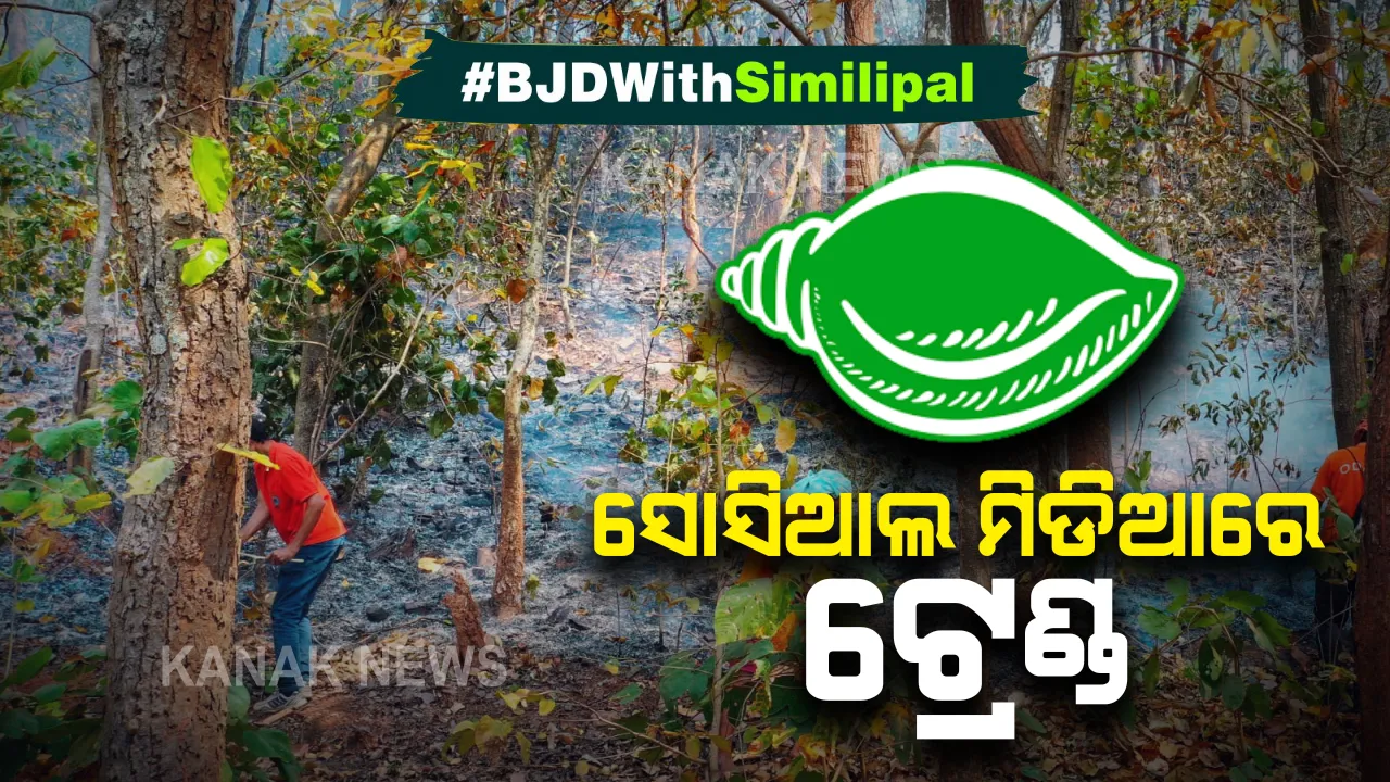  ଶିମିଳିପାଳ ପାଇଁ ସରକାରଙ୍କ ପଦକ୍ଷେପକୁ ସୋସିଆଲ ମିଡିଆରେ ପ୍ରଶଂସା । ଟ୍ୱିଟରରେ ଟ୍ରେଣ୍ଡ କଲା ଏହି ହାସ୍ ଟ୍ୟାଗ