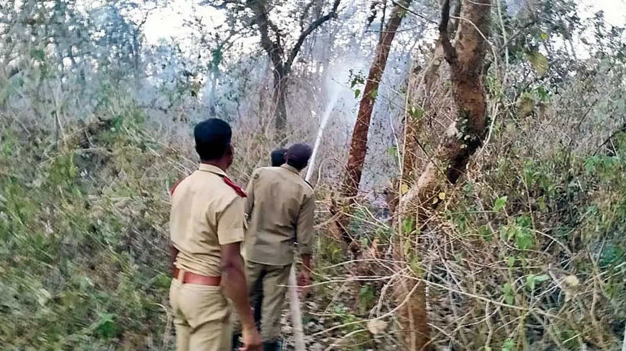  କେମିତି ରହିଛି ଜଙ୍ଗଲ ସ୍ଥିତି? ରିପୋର୍ଟ ଦେଲେ ଟାସ୍କ ଫୋର୍ସ ମୁଖ୍ୟ । ଜାଣିବା ପାଇଁ ପଢନ୍ତୁ...