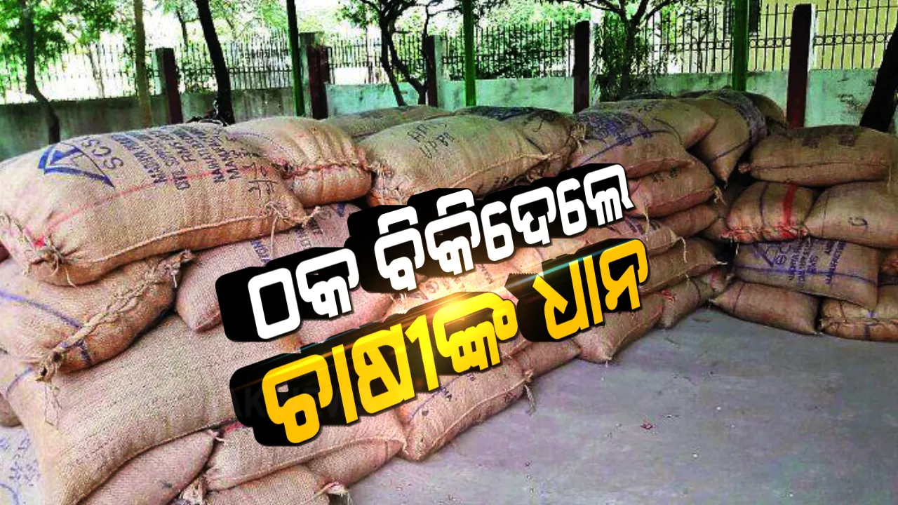  ଠକ ବିକିଦେଲେ ଚାଷୀଙ୍କ ଧାନ । ଜାଲ୍ କାଗଜପତ୍ରରେ ସଂପର୍କୀୟ ଦର୍ଶାଇ ନିରୀହ ଆଦିବାସୀଙ୍କ ଧାନ ବିକିଦେଲେ ଦଲାଲ ।