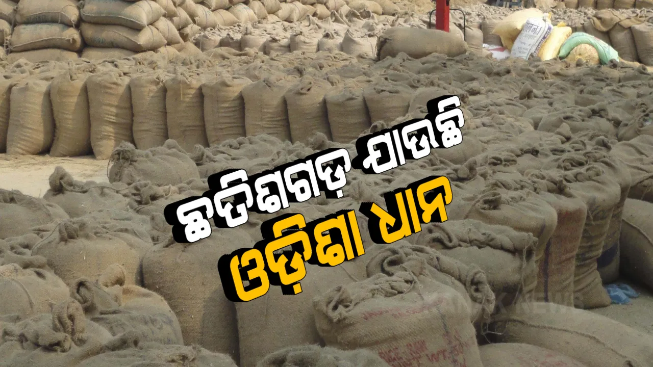  ଟୋକନ ଅବଧି ସରିଗଲା, ହେଲେ ମଣ୍ଡି କିଣିଲାନି ଧାନ । ବାଧ୍ୟ ହୋଇ ଚାଷୀ ହେଲେ ଛତିଶଗଡ଼ ମୁହାଁ । ଶାଗ ମାଛ ଦରରେଧାନ ବିକିବାକୁ ଅଂଟା ଭିଡିଲେ ଚାଷୀ ।