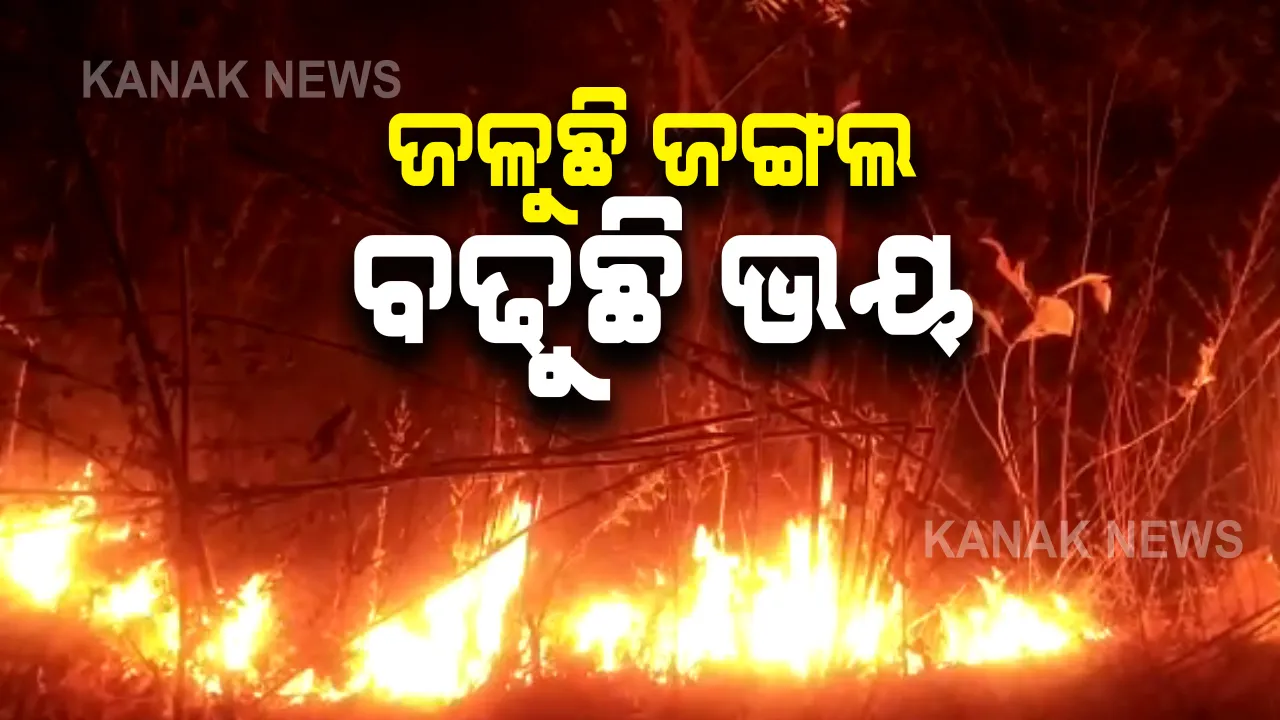  ଶିମିଳିପାଳର ପୂର୍ବ ପାଦ ଦେଶରେ ଜଳୁଛି ନିଆଁ : ୧୦ରୁ ୧୨ଟି ସ୍ଥାନରେ ଭୟଙ୍କର ହେଲାଣି ପରିସ୍ଥିତି