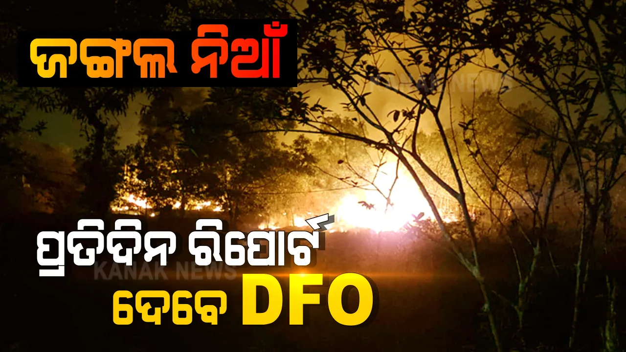  କେଉଁଠି ଲାଗିଛି ନିଆଁ, କ’ଣ ରହିଛି ସ୍ଥିତି? ପ୍ରତିଦିନ ରିପୋର୍ଟ ଦେବେ ସମସ୍ତ ଡିଏଫଓ, ସନ୍ଧ୍ୟାସୁଦ୍ଧା ରିପୋର୍ଟ ଦେବାକୁ ଜଙ୍ଗଲ ବିଭାଗର ଚିଠି ।