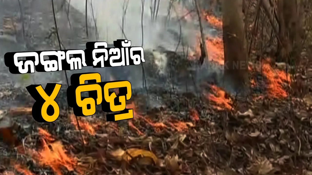  ସାମ୍ନାକୁ ଆସିଲା ଜଙ୍ଗଲ ନିଆଁର ୪ ଚିତ୍ର । ଏପଟେ ଶିମିଳିପାଳରେ ଜଳୁଛି ନିଆଁ, ସେପଟେ ନିୟନ୍ତ୍ରଣ ପାଇଁ ବନ କର୍ମଚାରୀଙ୍କ ପ୍ରୟାସ ।