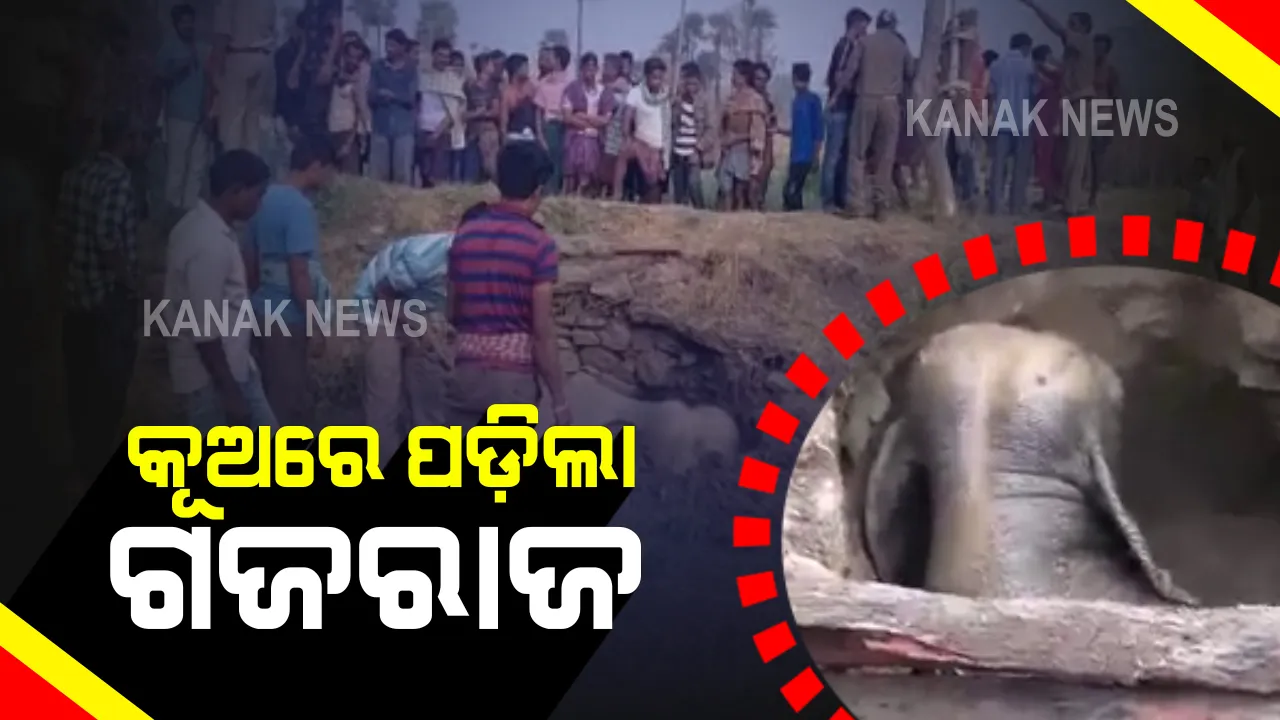  ଅନୁଗୁଳ ବାଲିଜେରେଙ୍ଗ କୂଅରେ ପଡ଼ିଲା ହାତୀ : ଅନ୍ଧାର ରାତିରେ ଜନବସତି ଆଡକୁ ଆସୁଥିବା ସମୟରେ କୂଅରେ ପଡ଼ିଥିବା ସୂଚନା