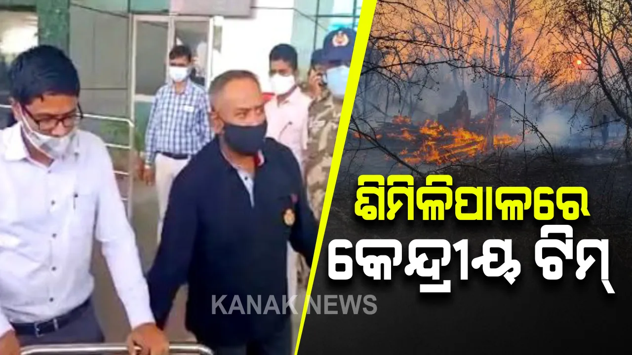  ଶିମିଳିପାଳରେ କେନ୍ଦ୍ରୀୟ ଟିମ୍ : ଆଜି ବୁଲିବେ କୋର ଏରିଆ; ନିଆଁ ଲାଗିବା କାରଣ ଅନୁଧ୍ୟାନ ସହ ନିରାକରଣ ପାଇଁ ପାଂଚିବେ ଉପାୟ
