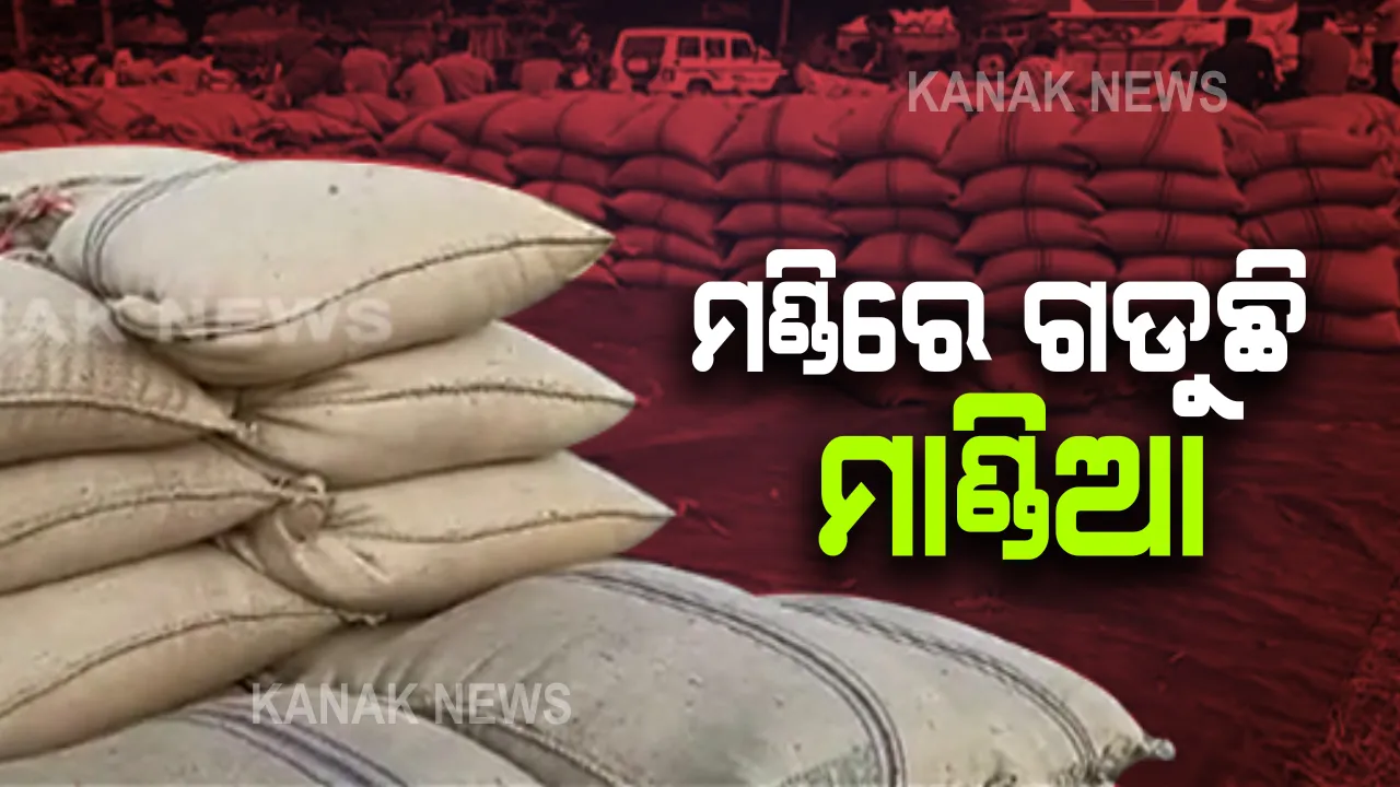  ମଣ୍ଡିରେ ମାଣ୍ଡିଆ ବିକ୍ରି କରିପାରୁନାହାନ୍ତି ଚାଷୀ । ଟାର୍ଗେଟ ପୂରଣ ହୋଇଗଲା ବୋଲି କହି ମଣ୍ଡି ବନ୍ଦ କରିଦେଇଛନ୍ତି କର୍ତ୍ତୃପକ୍ଷ ।