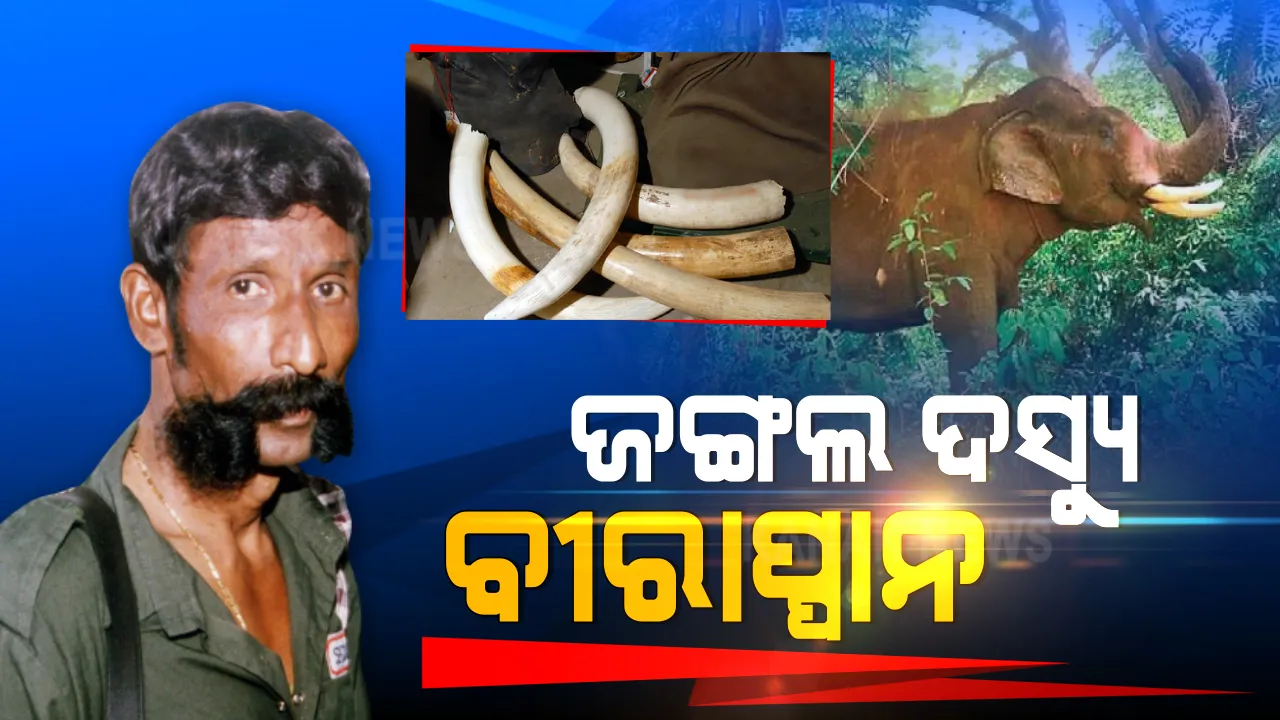 ଜଙ୍ଗଲ ଦସ୍ୟୁ ବୀରାପ୍ପାନ: ଚନ୍ଦନ କାଠ, ହାତୀ ଦାନ୍ତର କରୁଥିଲା ଚୋରି । ତିନିଟି ରାଜ୍ୟର ପୋଲିସକୁ ଦେଉଥିଲା ଚକମା ।