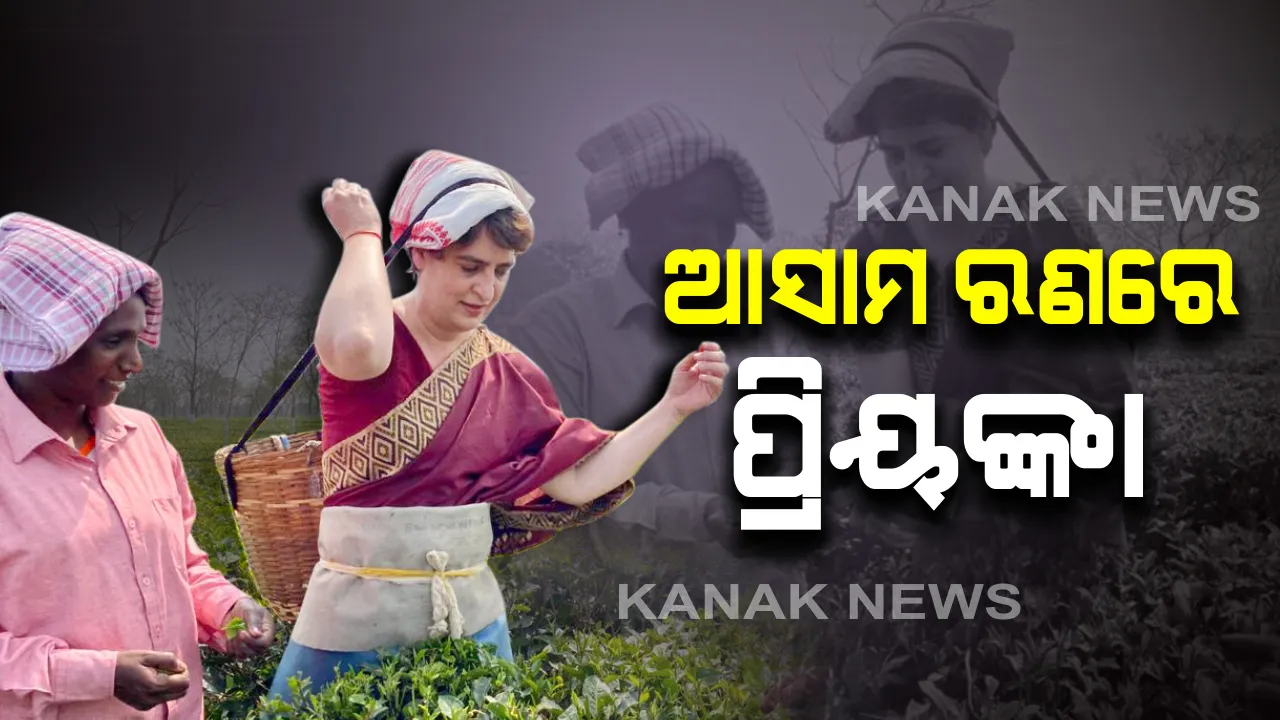  ଆସାମ ଆଶାରେ ପ୍ରିୟଙ୍କା ଗାନ୍ଧୀ । ଚା’ ବଗିଚାରେ ଶ୍ରମିକଙ୍କ ସହ ମିଶି ଚା ପତି ତୋଳିଲେ ଗାନ୍ଧୀ ପରିବାରର ଲଳନା