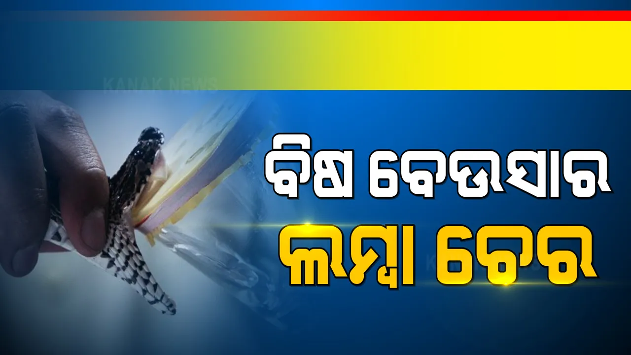  ବିଷ ବେଉସାର ଲମ୍ବା ଚେର । ଭୁବନେଶ୍ୱରରୁ ଜବତ ସାପ ବିଷର ବିଦେଶୀ ଲିଙ୍କ ସନ୍ଦେହ । କ୍ରାଇମବ୍ରାଂଚ ତଦନ୍ତ ପାଇଁ ଆବେଦନ କରିବ ବନ ବିଭାଗ ।