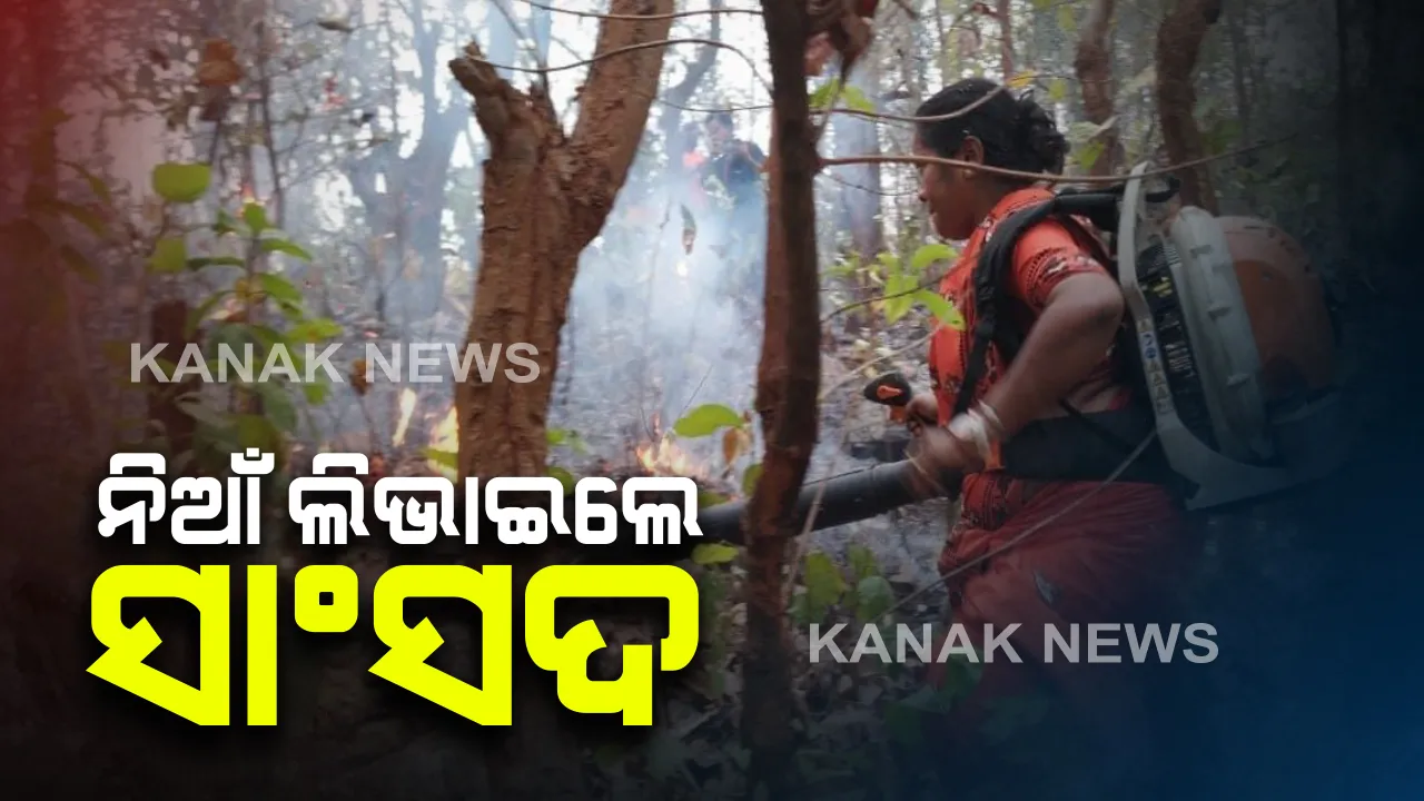  ଶିମିଳିପାଳ ନିଆଁ ଲିଭାରେ ସାମିଲ ହେଲେ ରାଜ୍ୟସଭା ସାଂସଦ ମମତା ମହାନ୍ତ । ବିଶୋଇ ରେଞ୍ଜ ରାଜାବସା ଜଙ୍ଗଲରେ ଲିଭାଇଲେ ନିଆଁ ।