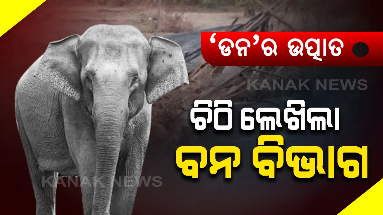  ଦନ୍ତାହାତୀ 'ଡନ'ର ଉତ୍ପାତ ପରେ ବନ ବିଭାଗର ତତ୍ପରତା : ୱାଇଲ୍ଡ ଲାଇଫ୍ ପିସିସିଏଫକୁ ଚିଠି ଲେଖିଲେ ସମ୍ବଲପୁର ଡ଼ିଏଫଓ