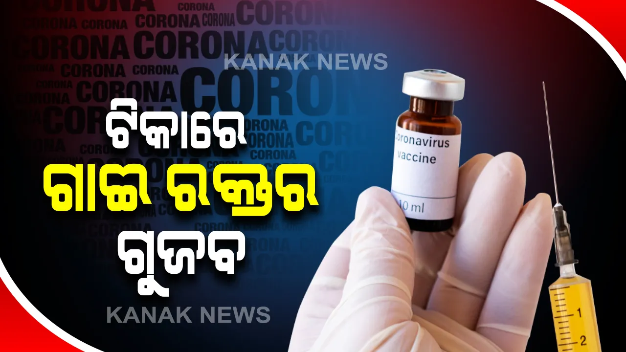  ହରିୟାଣାରେ ଟିକାକୁ ନେଇ ଗୁଜବ : ଭ୍ୟାକ୍ସିନରେ ଗାଈର ରକ୍ତ ଓ ଘୁଷୁରୀ ମାଂସ ମିଶିଥିବା ଉଡା ଖବର ପରେ ଟିକା ନେବାକୁ ଲୋକ ଅମଙ୍ଗ