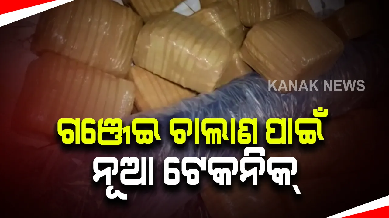  ଗଞ୍ଜେଇ ଚାଲାଣ ପାଇଁ ପିକଅପ୍ ଭ୍ୟାନରେ ସ୍ୱତନ୍ତ୍ର ବ୍ୟବସ୍ଥା : ଗାଡି ଯାଞ୍ଚ ବେଳେ ମାଥିଲି ପୋଲିସ ହାତରେ ଧରାପଡିଲେ ମାଫିଆ