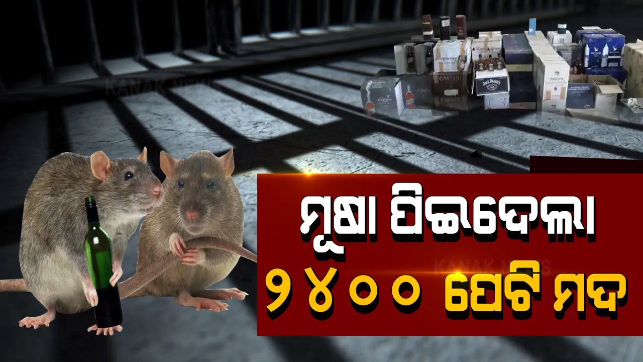  ମଦ ପିଇଦେଲା ମୂଷା...ମୂଷା ପେଟରେ ୨୪୦୦ ପେଟି ମଦ । ୩୦ ଲକ୍ଷ ଟଙ୍କାର ମଦ ଜବତ କଲା ପୋଲିସ । ଥାନାରେ ମୂଷା ପିଇଦେଲେ ୨୪୦୦ ପେଟି ମଦ । ଆଶ୍ଚର୍ଯ୍ୟ କରିଦେଲା କ୍ରାଇମବ୍ରାଞ୍ଚର ରିପୋର୍ଟ...
