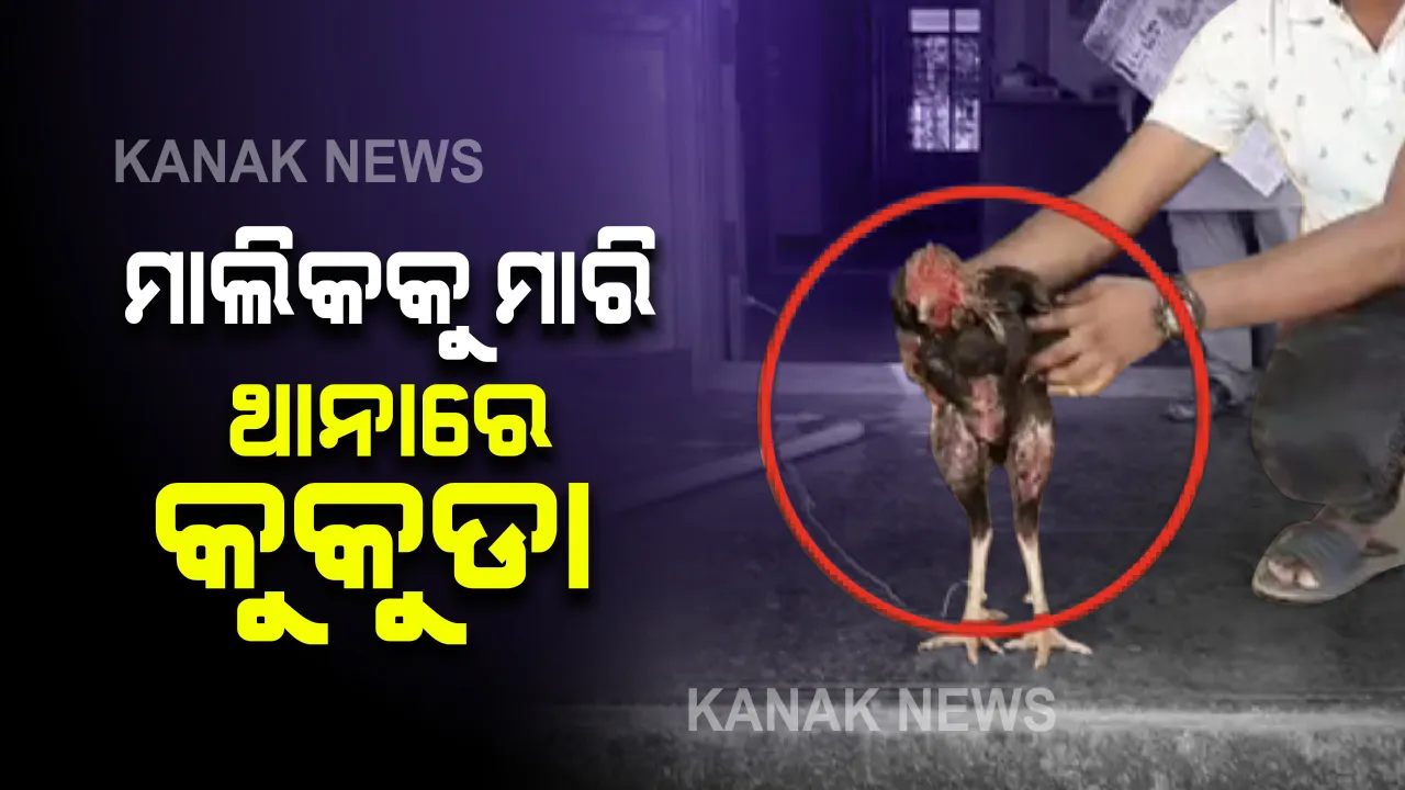  ମାଲକାନଗିରି ସୀମାନ୍ତ ତେଲେଙ୍ଗାନାରୁ ଆସିଲା ଚକିତ କଲା ଭଳି ଖବର : ମାଲିକକୁ ମାରି ଥାନାରେ ବନ୍ଧା ପଡିଛି କୁକୁଡା