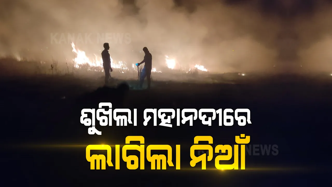  ସମ୍ବଲପୁରରେ ଶୁଖିଲା ମହାନଦୀରେ ଲାଗିଲା ନିଆଁ । ନିଆଁ ଲାଗି ଜଳିଲା ଶୁଖି ଯାଇଥିବା ଘାସ । 