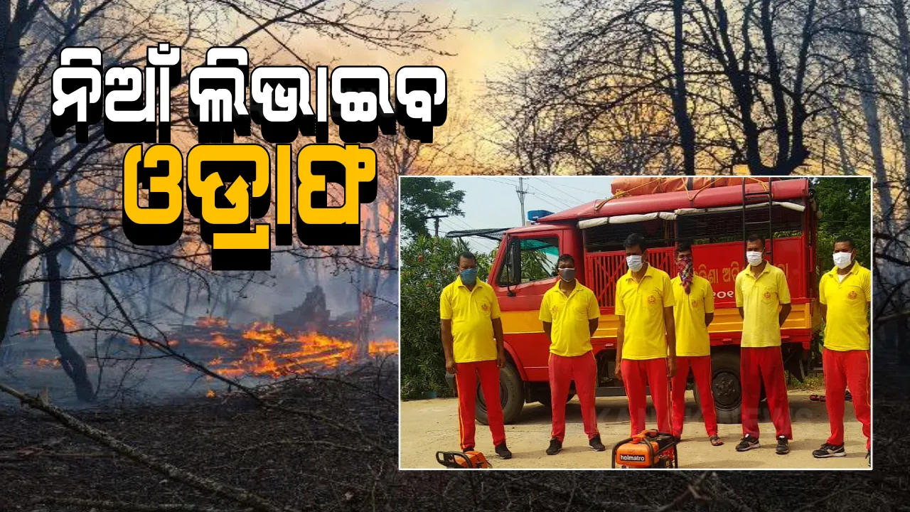  ଶିମିଳିପାଳ ନିଆଁ ରୋକିବାକୁ ଘଟଣାସ୍ଥଳରେ ଦୁଇଟି ଓଡ୍ରାଫ ଟିମ୍ : ବାରିପଦାର ପିଠାବଟା ରେଂଜ ଓ ଯଶିପୁର ରେଂଜରେ ହେଲେ ମୁତୟନ