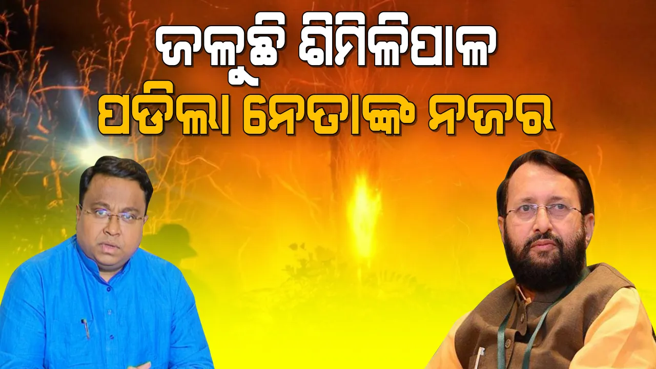  ଶିମିଳିପାଳ ନିଆଁ  ପାଇଁ ନେତାଙ୍କ ଚିନ୍ତା । ବିଜେଡି କହିଲା ନିଆଁ ଲିଭାଇବା ପାଇଁ ଚାଲିଛି ପ୍ରୟାସ, ବିଜେପି ସାଂସଦଙ୍କୁ ଭେଟିବା ପରେ ବିଶେଷଜ୍ଞ ଟିମ ପଠାଇବାକୁ କେନ୍ଦ୍ରମନ୍ତ୍ରୀଙ୍କ ପ୍ରତିଶ୍ରୁତି ।  
