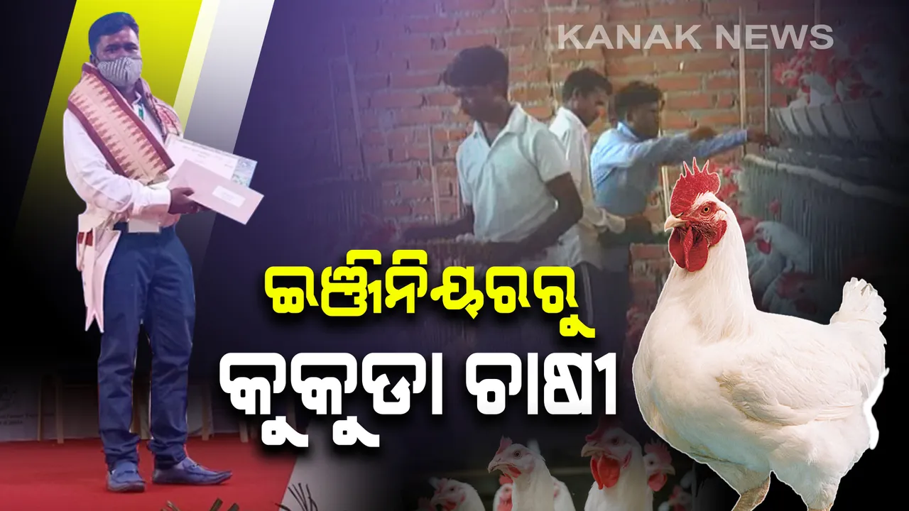  ସୁନ୍ଦରଗଡର ଯୁବ ଇଂଜିନିୟରଙ୍କ କୁକୁଡା ଫାର୍ମ । ଇଂଜିନିୟର ଚାକିରିରେ ମିଳୁନଥିଲା ଆତ୍ମତୃପ୍ତି,ଚାକିରି ଛାଡି କଲେ କୁକୁଡା ଚାଷ ।