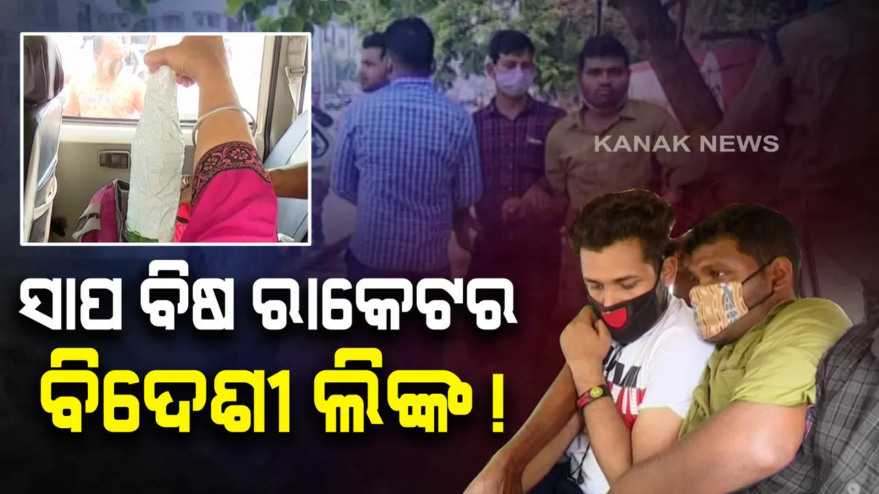  ଭୁବନେଶ୍ୱରରୁ ଜବତ ସାପ ବିଷର ବିଦେଶୀ ଲିଙ୍କ ସନ୍ଦେହ