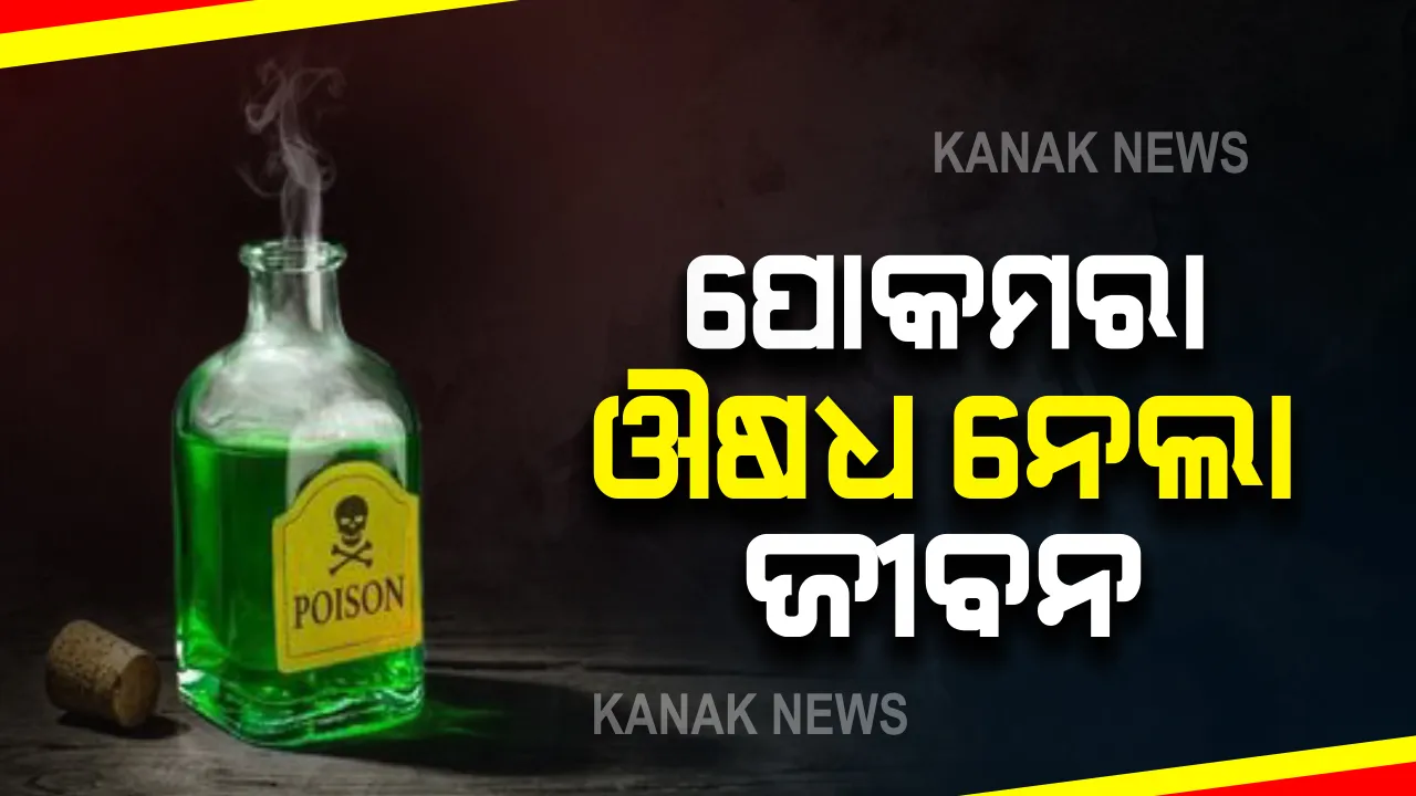  ଖଲ୍ଲିକୋଟରେ ଅଘଟଣ : ଚାଉଳବସ୍ତାରେ ପଡିଥିବା ପୋକମରା ଔଷଧ ପ୍ରଭାବରେ ସାନଭାଇର ମୃତ୍ୟୁ, ବଡଭାଇ ଅସୁସ୍ଥ
